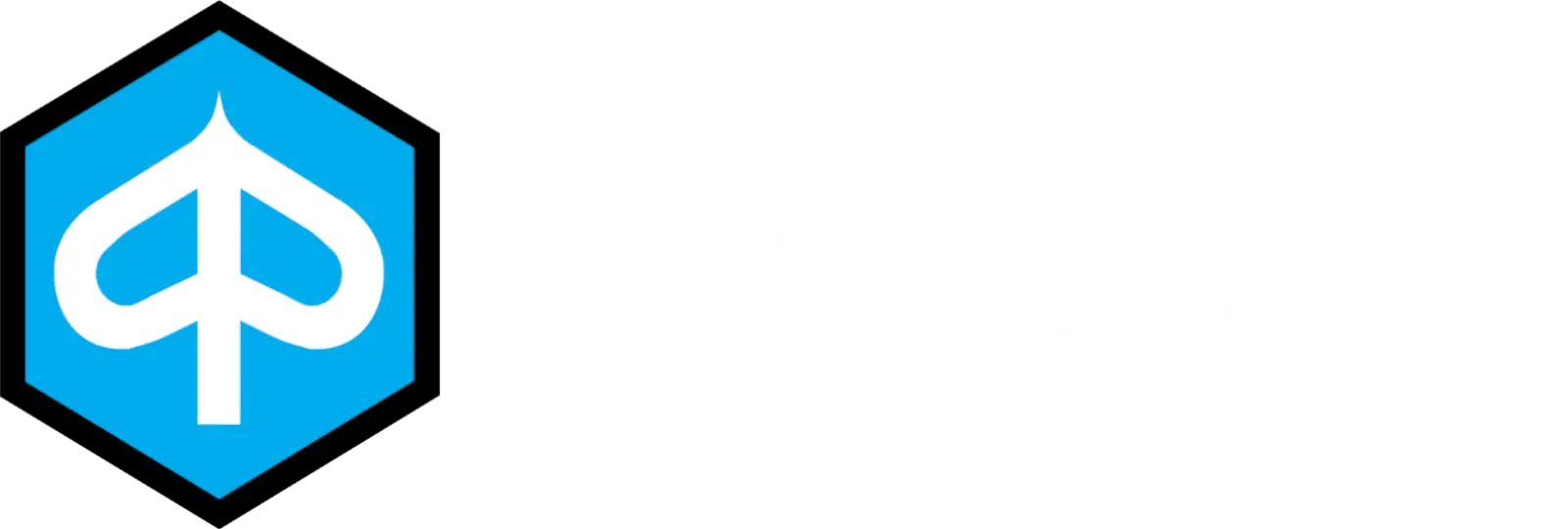 Piaggio Logo