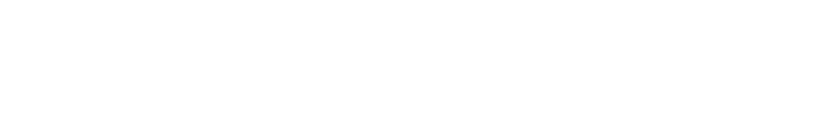 Sinnis Logo